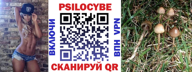 Псилоцибиновые грибы Psilocybine cubensis  Дербент 