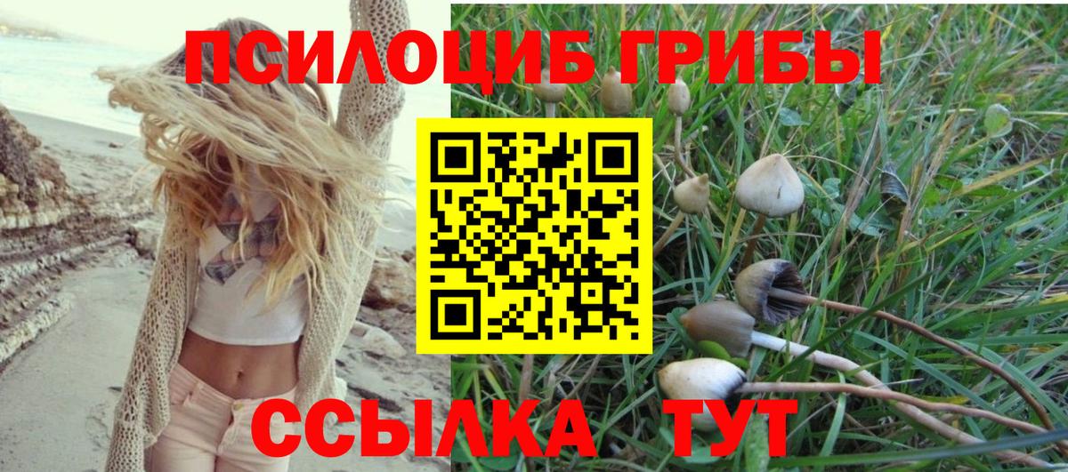 Дербент  Псилоцибиновые грибы MAGIC MUSHROOMS  закладки  Псилоцибиновые грибы прущие грибы  Вход с VPN 
